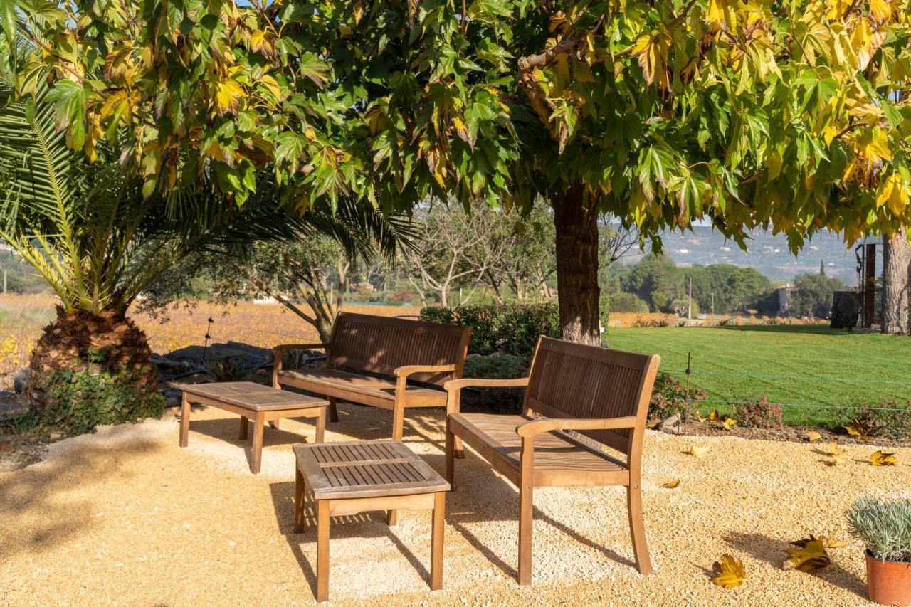 Domaine Au Coeur Des Vignes - Bastidon Raimu Apartment Le Plan-de-la-Tour Bagian luar foto